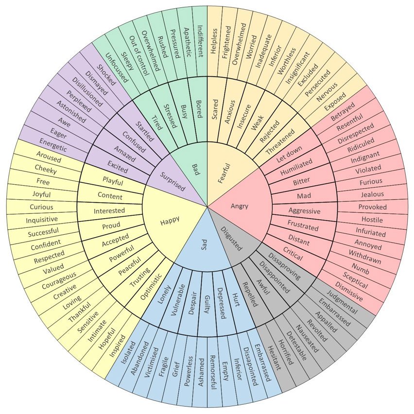 The Wheel of Emotional Options by Haptics Technomy